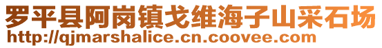 羅平縣阿崗鎮(zhèn)戈維海子山采石場