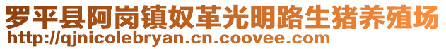 羅平縣阿崗鎮(zhèn)奴革光明路生豬養(yǎng)殖場