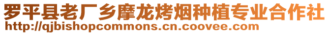 羅平縣老廠鄉(xiāng)摩龍烤煙種植專業(yè)合作社