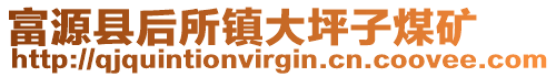 富源縣后所鎮大坪子煤礦