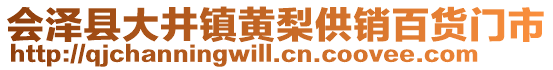 會澤縣大井鎮(zhèn)黃梨供銷百貨門市