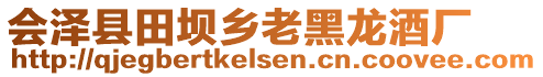 會(huì)澤縣田壩鄉(xiāng)老黑龍酒廠