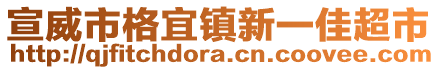 宣威市格宜鎮(zhèn)新一佳超市