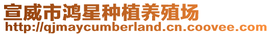 宣威市鴻星種植養(yǎng)殖場