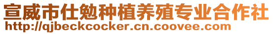 宣威市仕勉種植養(yǎng)殖專業(yè)合作社