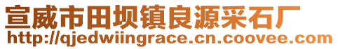 宣威市田壩鎮(zhèn)良源采石廠