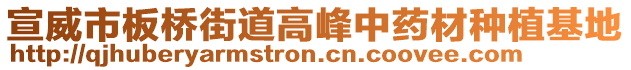 宣威市板橋街道高峰中藥材種植基地