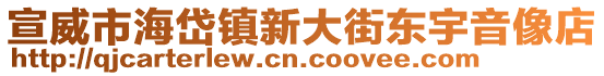 宣威市海岱鎮(zhèn)新大街東宇音像店