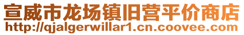 宣威市龍場鎮(zhèn)舊營平價商店