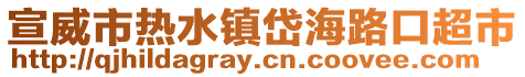 宣威市熱水鎮岱海路口超市