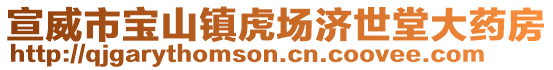 宣威市寶山鎮虎場濟世堂大藥房