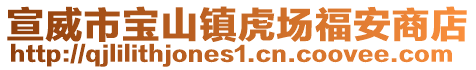 宣威市寶山鎮虎場福安商店
