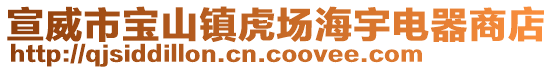 宣威市寶山鎮(zhèn)虎場海宇電器商店