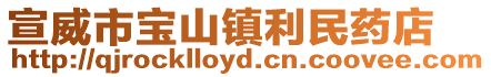 宣威市寶山鎮利民藥店