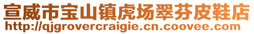 宣威市寶山鎮虎場翠芬皮鞋店