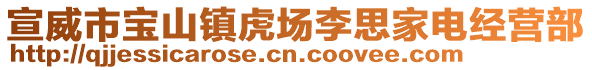 宣威市寶山鎮(zhèn)虎場李思家電經(jīng)營部