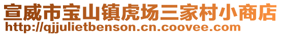 宣威市寶山鎮(zhèn)虎場(chǎng)三家村小商店