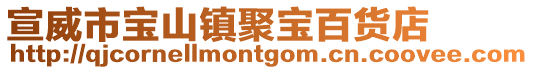 宣威市寶山鎮聚寶百貨店