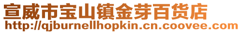宣威市寶山鎮金芽百貨店