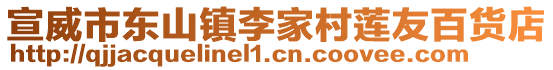 宣威市東山鎮(zhèn)李家村蓮友百貨店