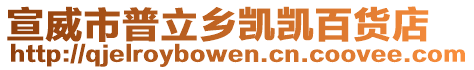 宣威市普立鄉凱凱百貨店