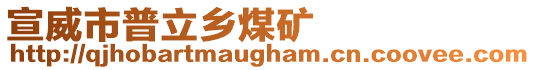 宣威市普立鄉(xiāng)煤礦