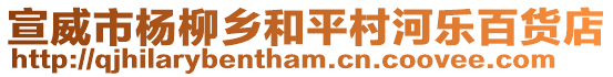 宣威市楊柳鄉(xiāng)和平村河樂百貨店