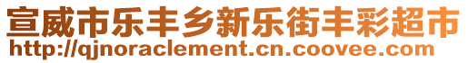 宣威市樂豐鄉(xiāng)新樂街豐彩超市