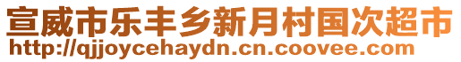 宣威市樂豐鄉(xiāng)新月村國次超市