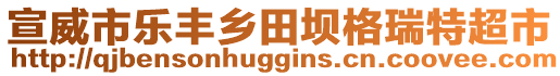 宣威市樂豐鄉(xiāng)田壩格瑞特超市