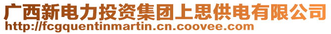 廣西新電力投資集團上思供電有限公司