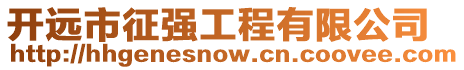 開遠市征強工程有限公司