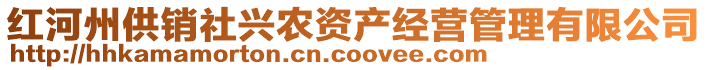 紅河州供銷社興農(nóng)資產(chǎn)經(jīng)營管理有限公司