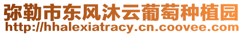 彌勒市東風(fēng)沐云葡萄種植園