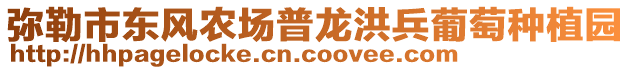 彌勒市東風(fēng)農(nóng)場(chǎng)普龍洪兵葡萄種植園