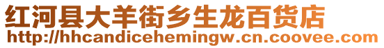 紅河縣大羊街鄉(xiāng)生龍百貨店