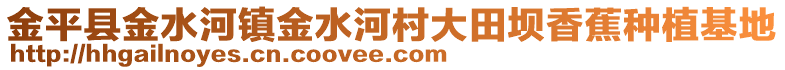 金平縣金水河鎮(zhèn)金水河村大田壩香蕉種植基地