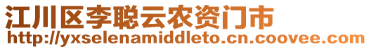 江川區(qū)李聰云農(nóng)資門市
