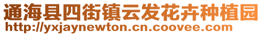 通?？h四街鎮(zhèn)云發(fā)花卉種植園