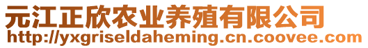 元江正欣農(nóng)業(yè)養(yǎng)殖有限公司