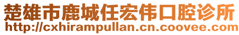 楚雄市鹿城任宏偉口腔診所