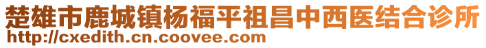 楚雄市鹿城鎮(zhèn)楊福平祖昌中西醫(yī)結合診所