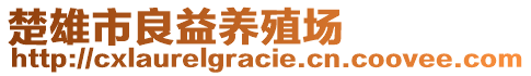 楚雄市良益養(yǎng)殖場(chǎng)