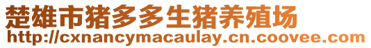 楚雄市豬多多生豬養(yǎng)殖場(chǎng)