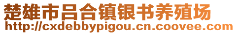 楚雄市呂合鎮(zhèn)銀書(shū)養(yǎng)殖場(chǎng)
