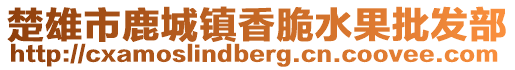 楚雄市鹿城鎮香脆水果批發部