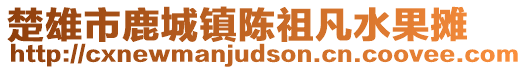 楚雄市鹿城鎮(zhèn)陳祖凡水果攤