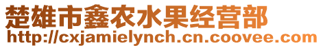 楚雄市鑫農水果經營部
