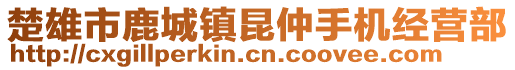 楚雄市鹿城鎮(zhèn)昆仲手機(jī)經(jīng)營(yíng)部