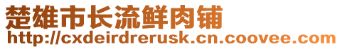 楚雄市長流鮮肉鋪